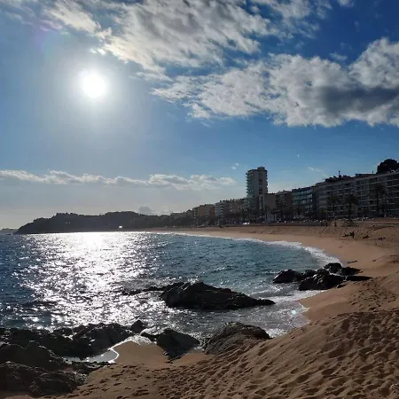 Zodiac Ab 4b アパート *