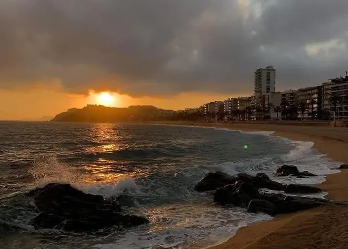 Zodiac Ab 4b 公寓 *