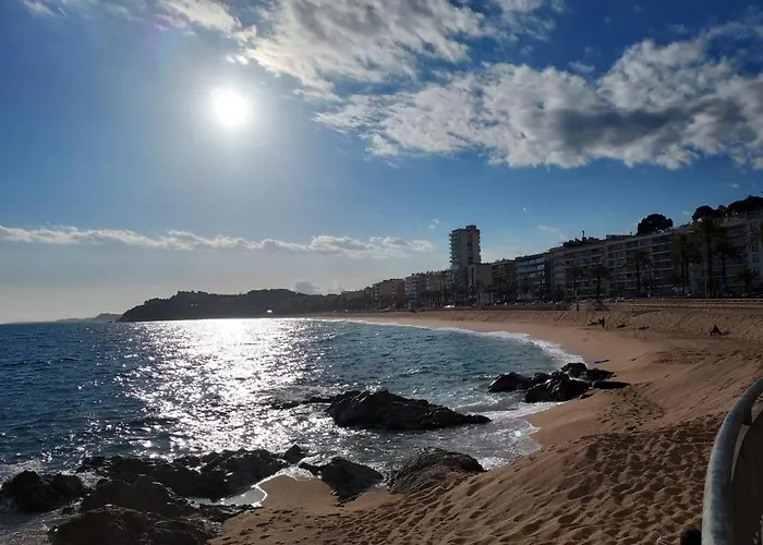 Zodiac Ab 4b 公寓 *